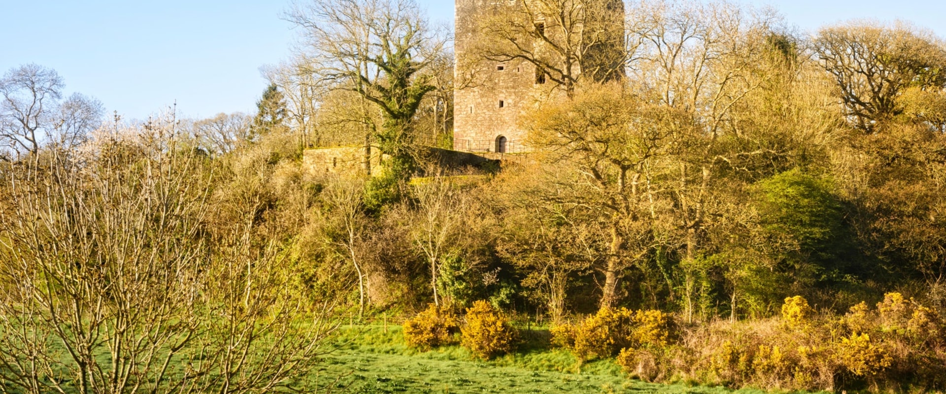 Exploring Scottish Clans and Family Trees
