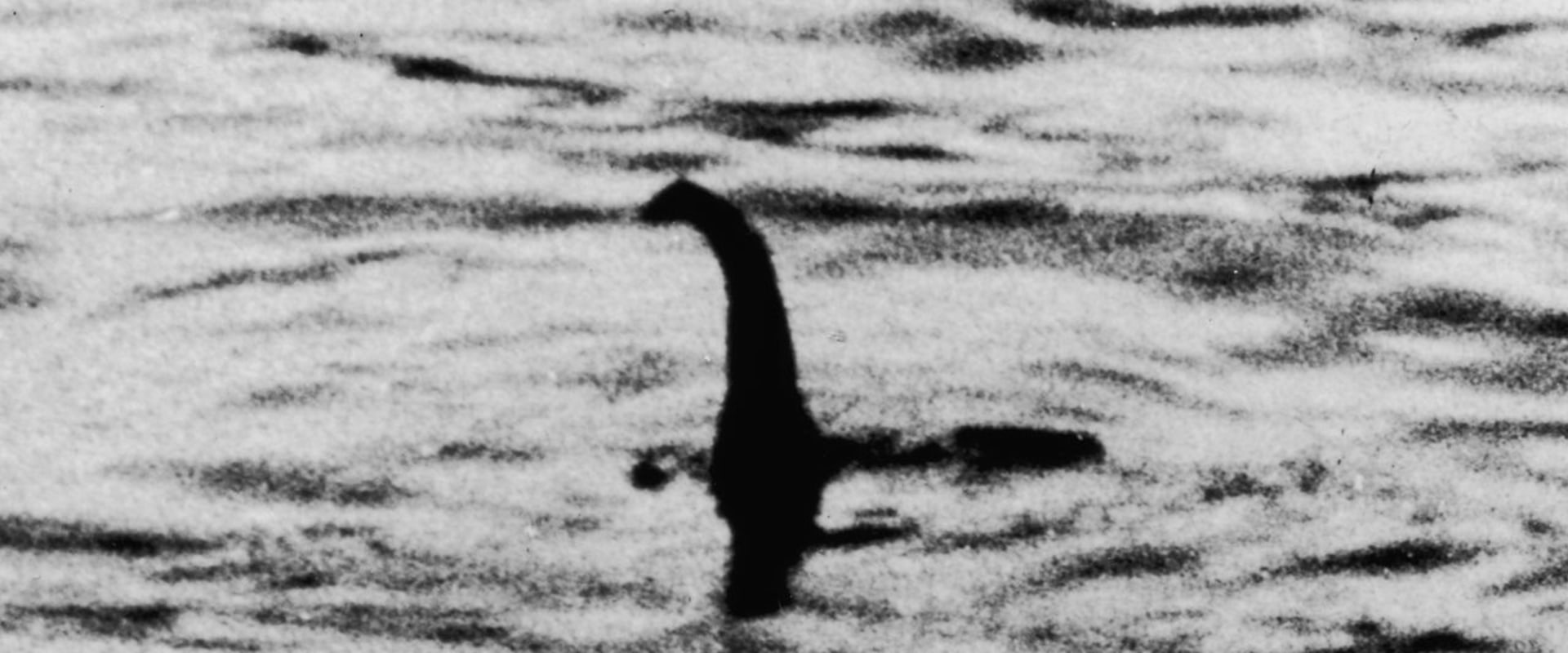All You Need to Know About Nessie, the Loch Ness Monster