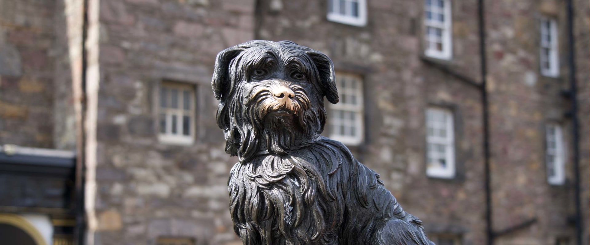 Uncovering the Fascinating Tale of Greyfriars Bobby